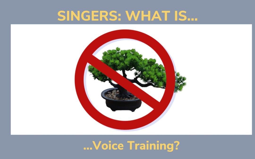 Singers: What is Voice Training?