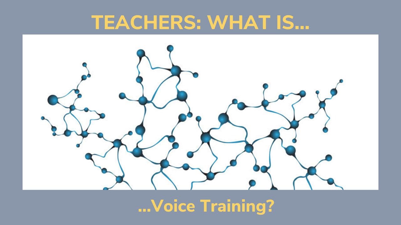 Teachers: What is Voice Training?