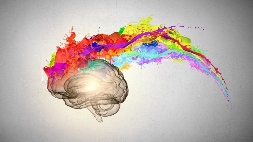 Conceptual image of the human brain thinking in colorful splashes, representing the sensory motor loop.