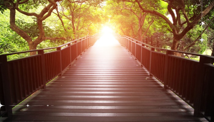 A bridge represents your guide helping on the right path in your learning experience.