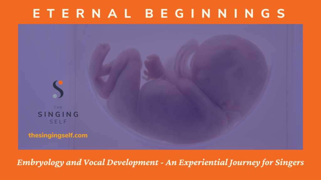 A banner for the Eternal Beginnings workshop on embryology and vocal development, featuring an image of a human fetus to represent early growth.