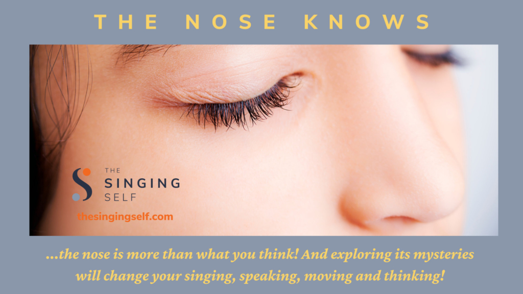 A close-up photo of a person's nose and closed eye, used for a workshop banner about achieving vocal support through the nasal passages.